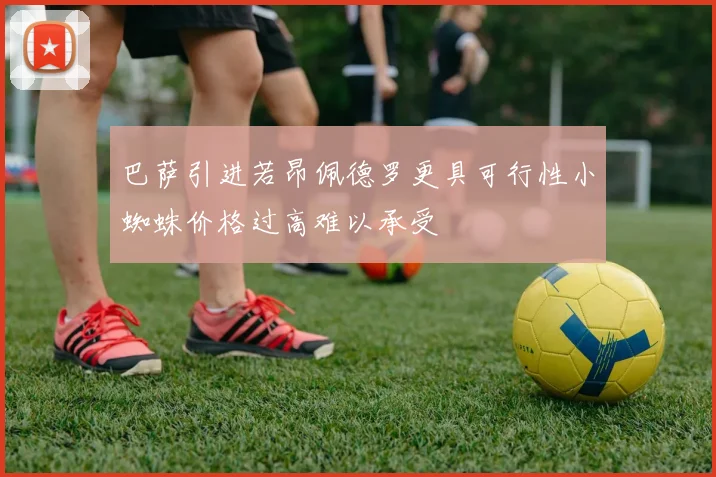 巴萨引进若昂佩德罗更具可行性小蜘蛛价格过高难以承受